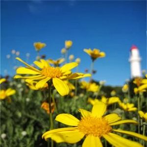 Meet your Posher, K. rain